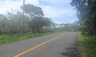 COLON / COSTA ARRIBA / NOMBRE DE DIOS / FARM / 110 HECTARES