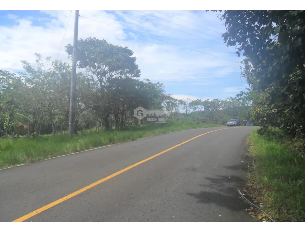 Land/Farm for sale in Colon