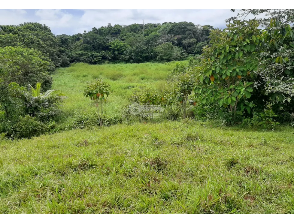 Land/Farm for sale in Colon