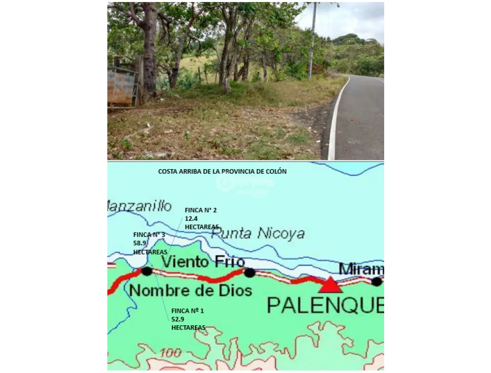 Land/Farm for sale in Colon