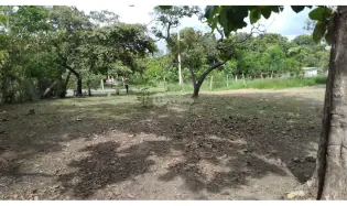建筑很多 在 Santa Rita 出售