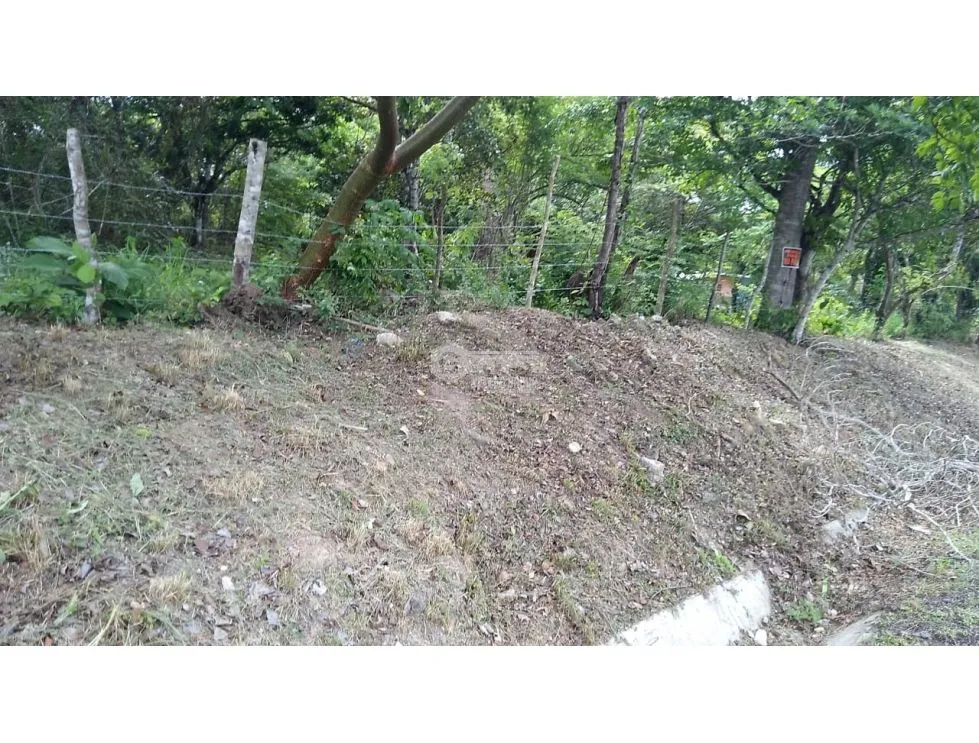 建筑很多 在 Santa Rita 出售