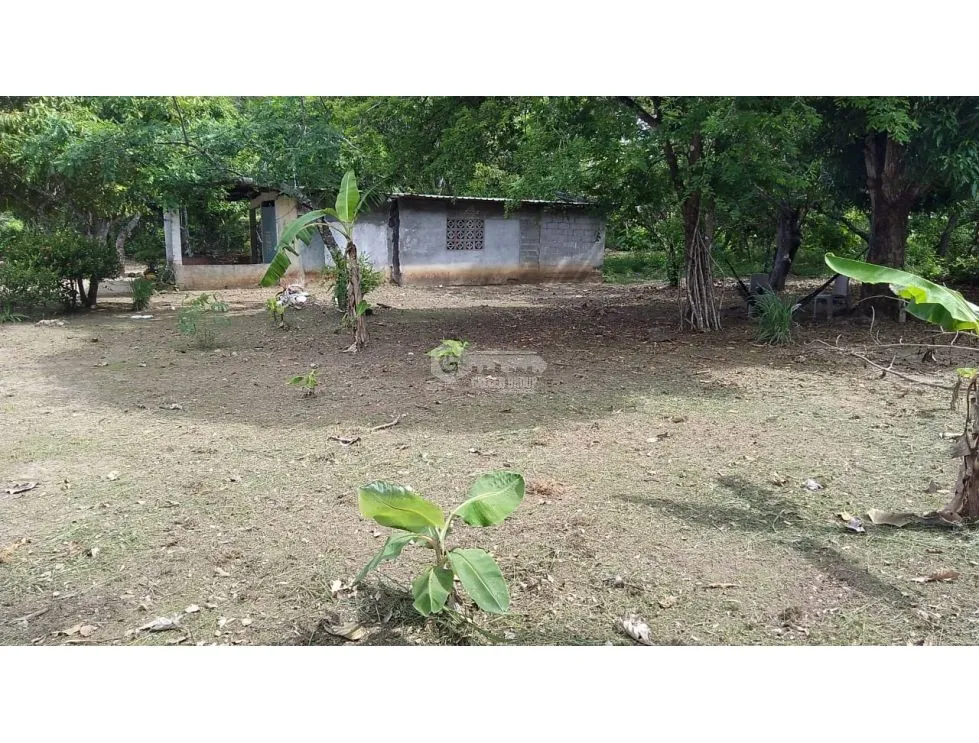 建筑很多 在 Santa Rita 出售