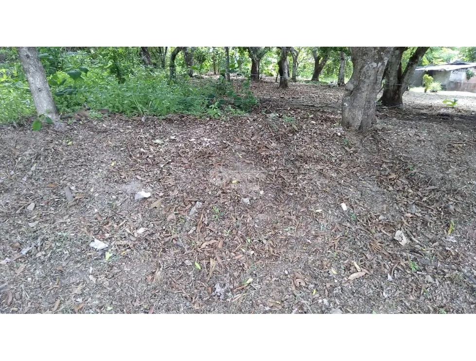 建筑很多 在 Santa Rita 出售