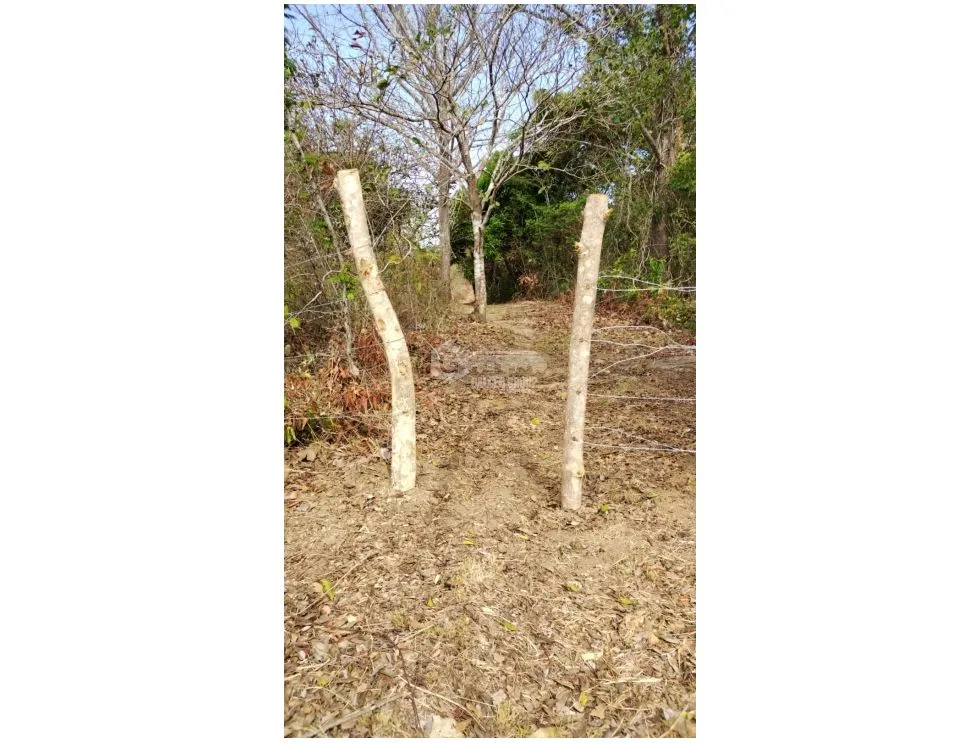 建筑很多 在 Santa Rita 出售