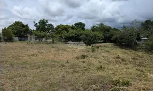 建筑很多 在 Playa Blanca 出售