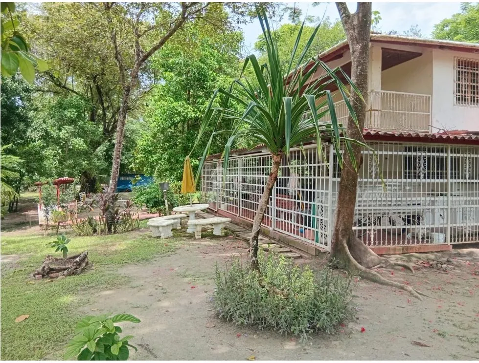 Terre / Ferme à San Carlos à vendre