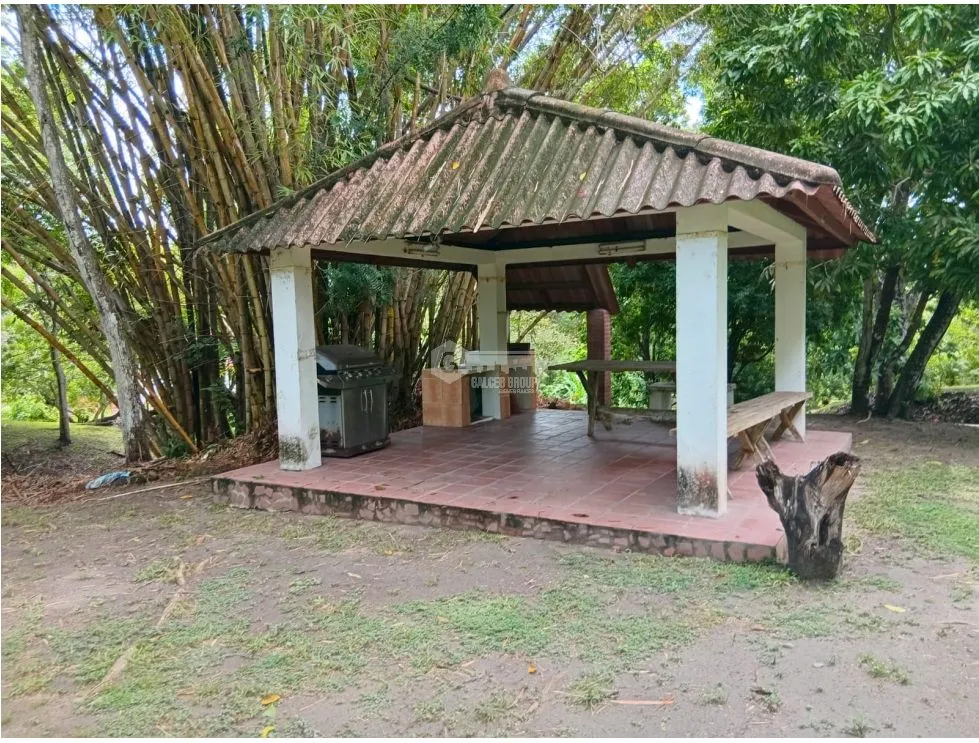 Terre / Ferme à San Carlos à vendre
