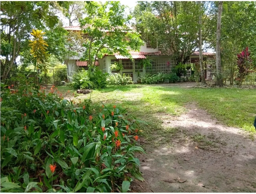 Terre / Ferme à San Carlos à vendre