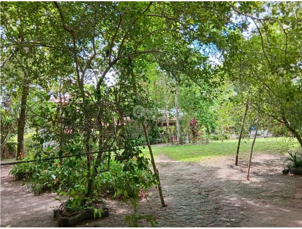 Terre / Ferme à San Carlos à vendre