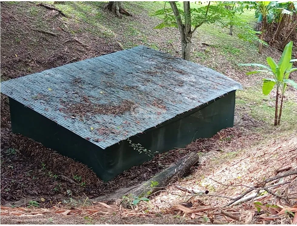Terre / Ferme à San Carlos à vendre