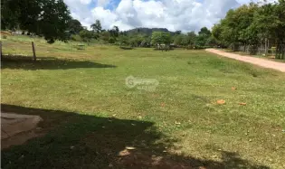 土地 农场 在 Penonome 出售