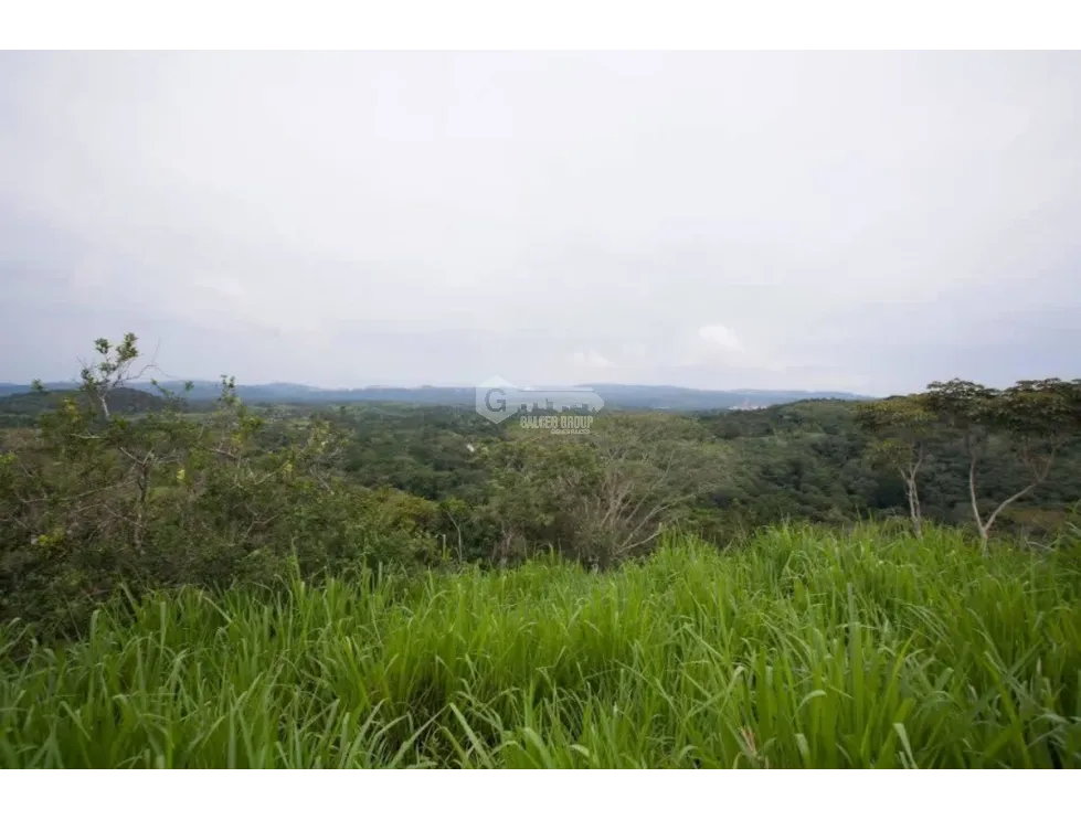 土地 农场 在 Panama 出售