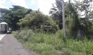建筑很多 在 Chame 出售