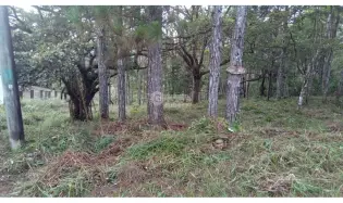 Building Lot for sale in Cerro Azul