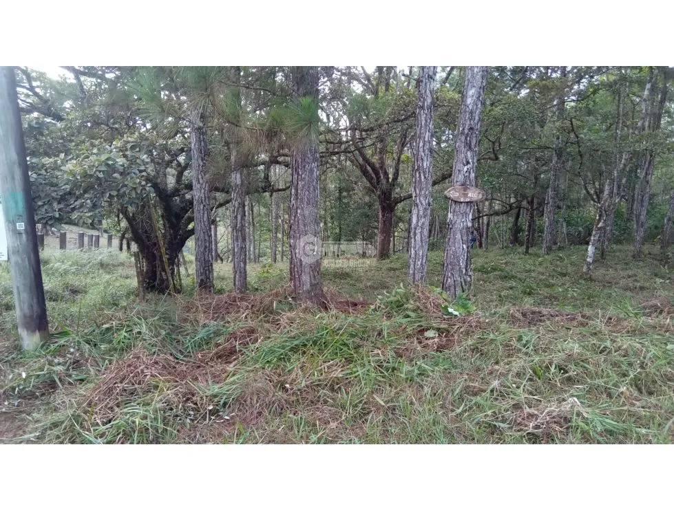 Building Lot for sale in Cerro Azul