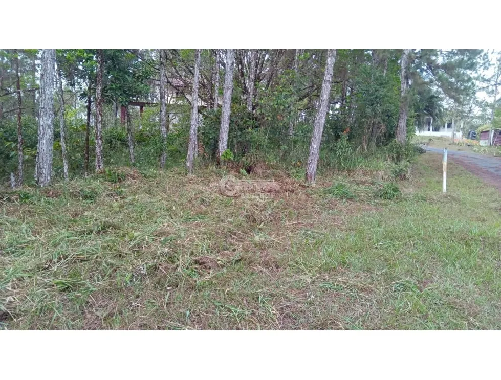 Building Lot for sale in Cerro Azul