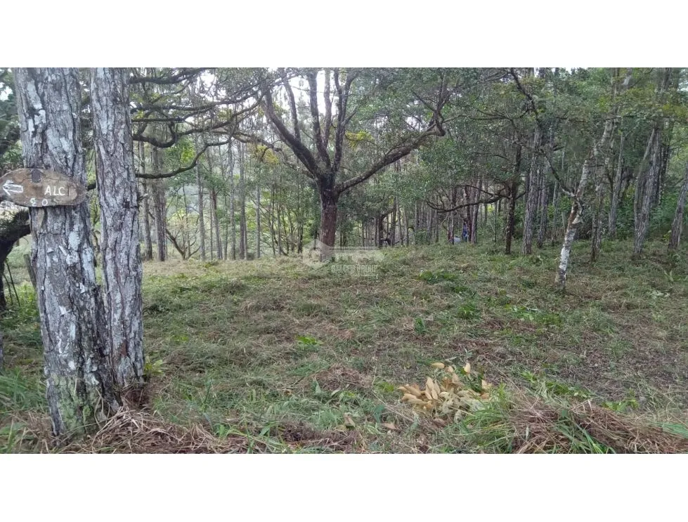 Building Lot for sale in Cerro Azul