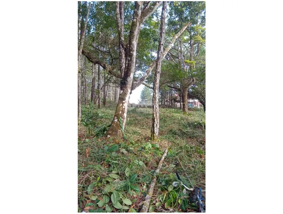 Building Lot for sale in Cerro Azul