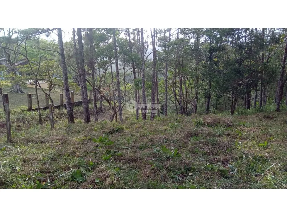 Building Lot for sale in Cerro Azul