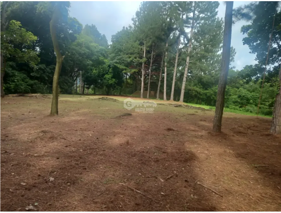 Building Lot for sale in Chame