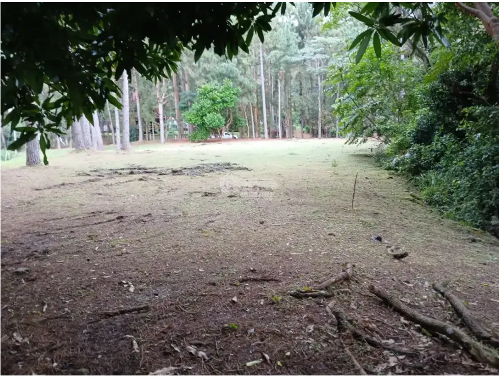 Building Lot for sale in Chame