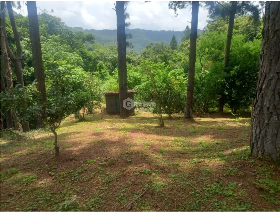 Building Lot for sale in Chame