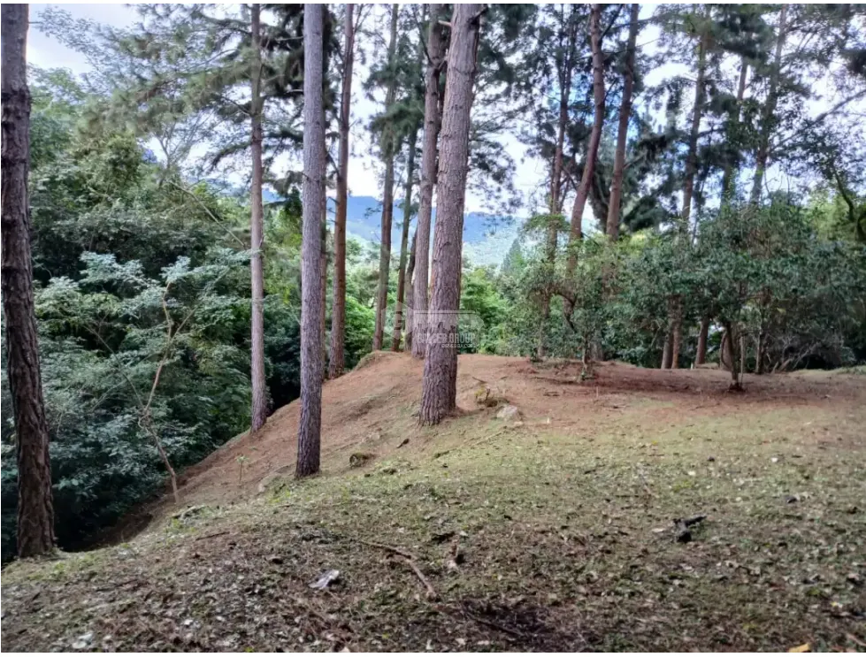 Building Lot for sale in Chame