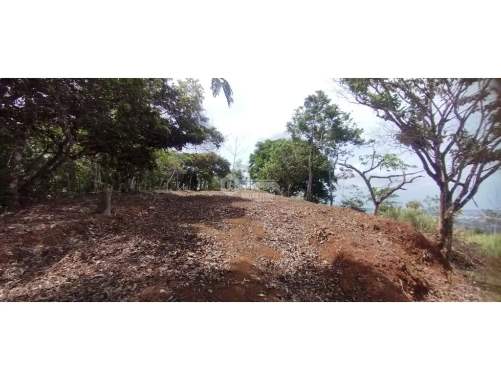 CERRO AZUL / LAND / 7 HECTARES / CITY AND SEA VIEW