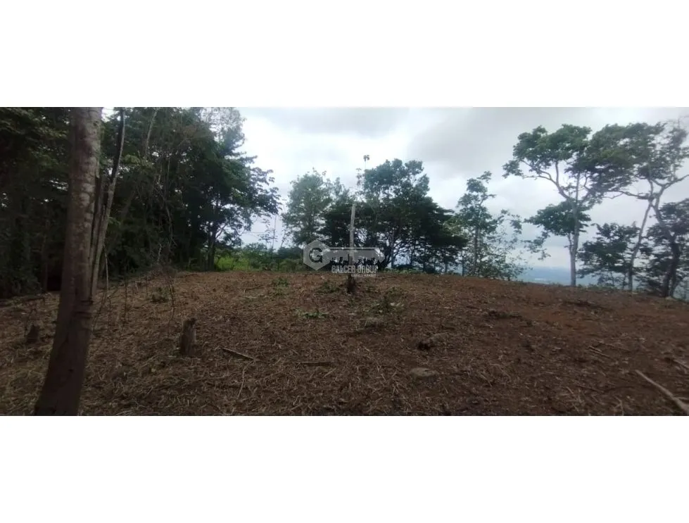 CERRO AZUL / LAND / 7 HECTARES / CITY AND SEA VIEW