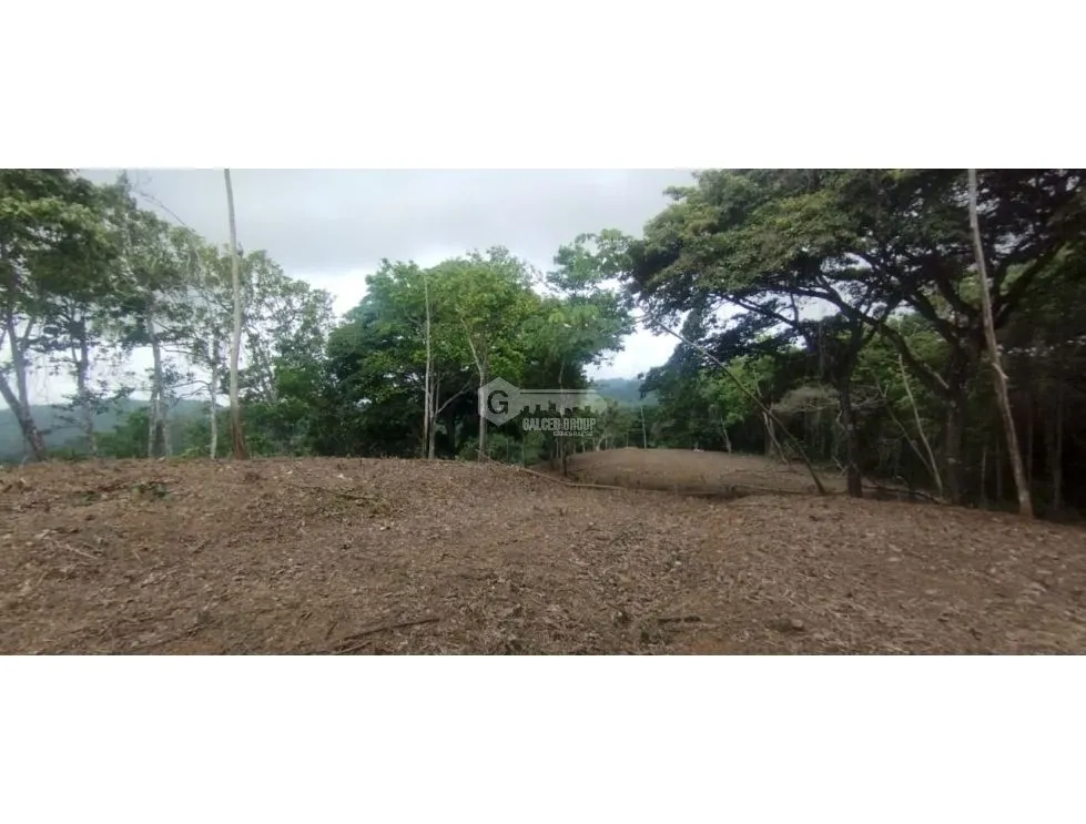 CERRO AZUL / LAND / 7 HECTARES / CITY AND SEA VIEW