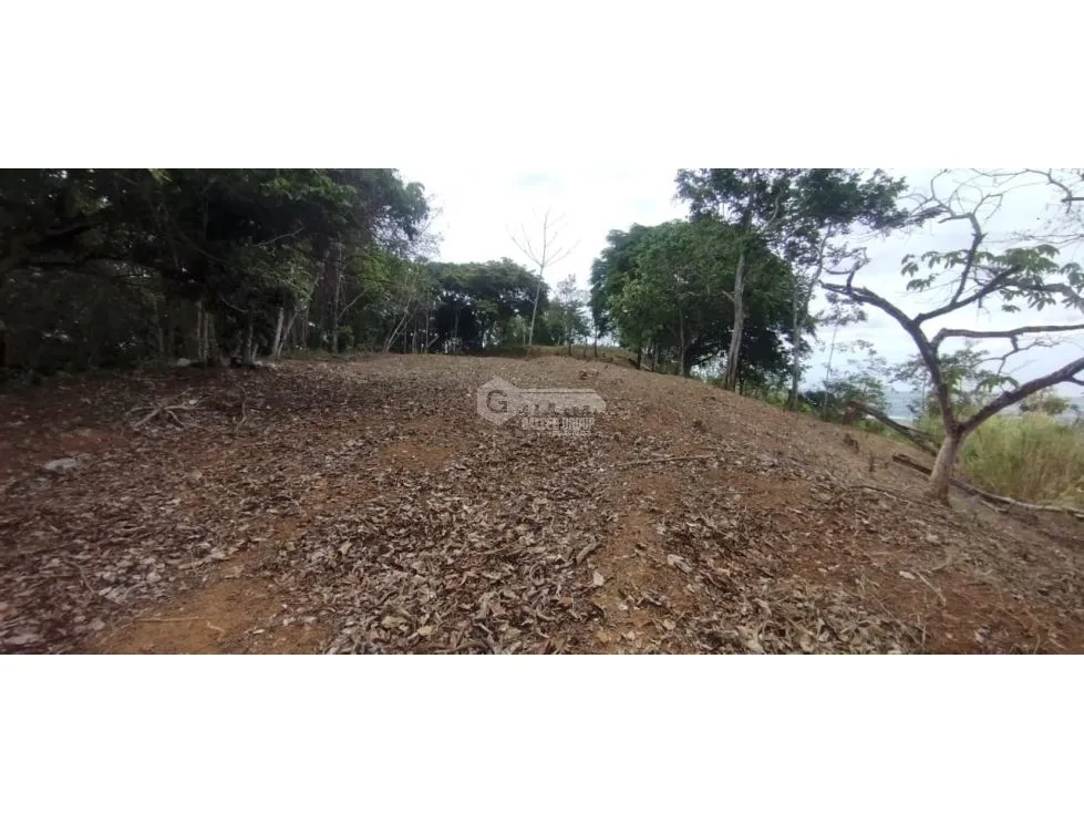 CERRO AZUL / LAND / 7 HECTARES / CITY AND SEA VIEW