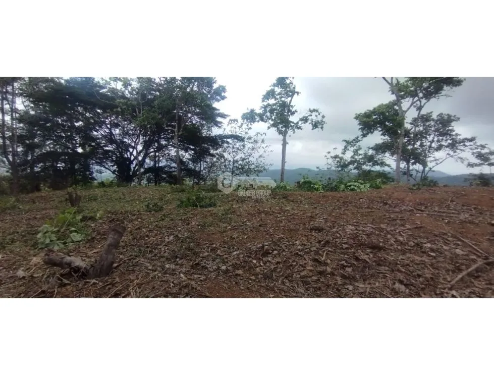 CERRO AZUL / LAND / 7 HECTARES / CITY AND SEA VIEW