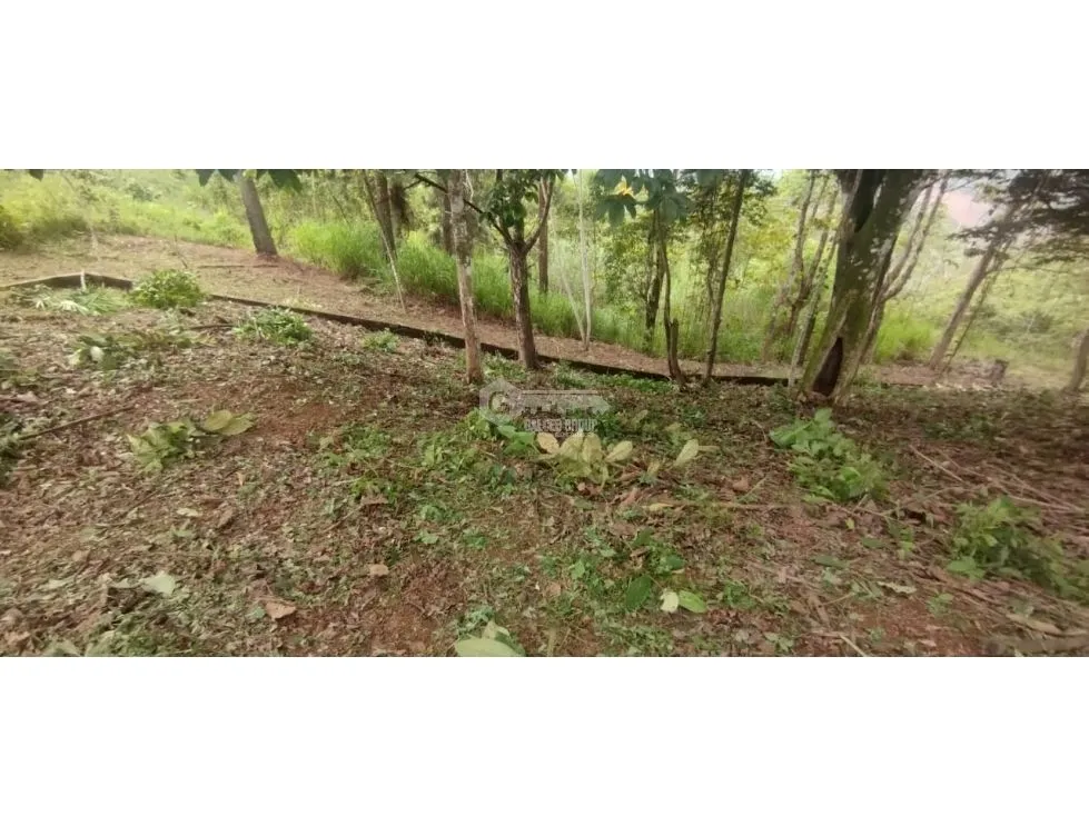 CERRO AZUL / LAND / 7 HECTARES / CITY AND SEA VIEW