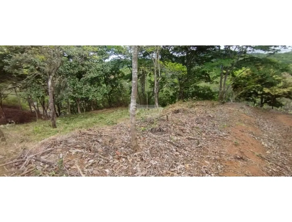 CERRO AZUL / LAND / 7 HECTARES / CITY AND SEA VIEW