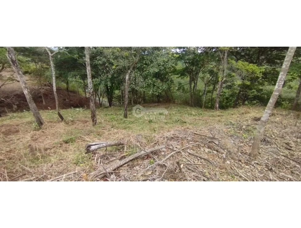 CERRO AZUL / LAND / 7 HECTARES / CITY AND SEA VIEW