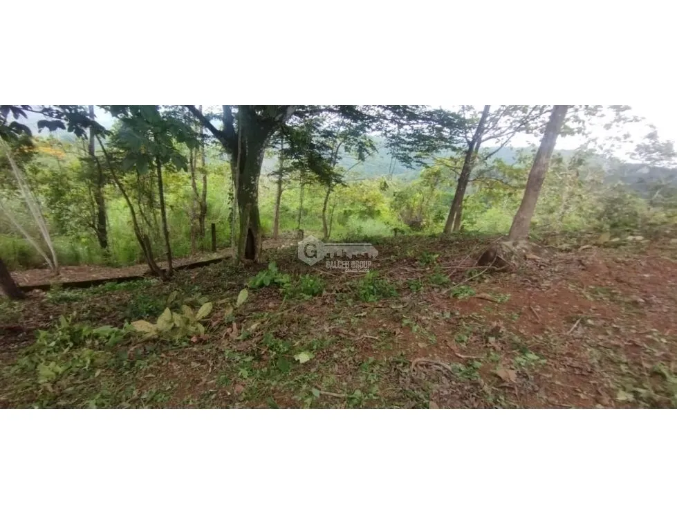 CERRO AZUL / LAND / 7 HECTARES / CITY AND SEA VIEW