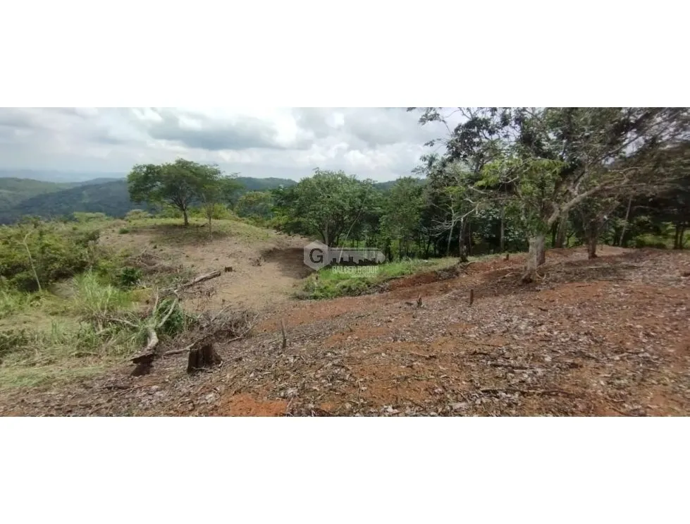 CERRO AZUL / LAND / 7 HECTARES / CITY AND SEA VIEW