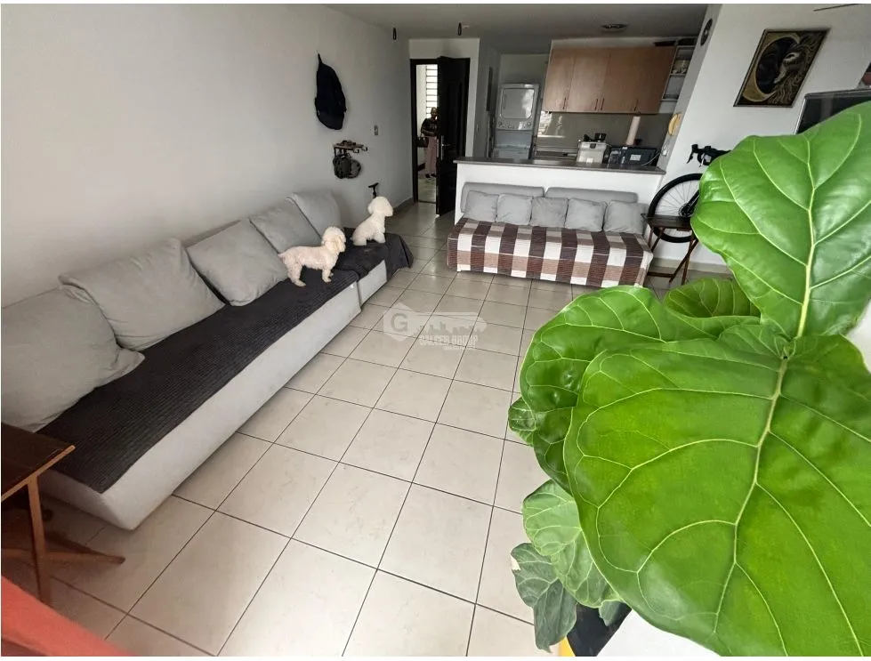 Appartement à Panama à vendre