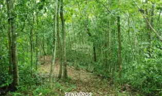 Building Lot for sale in Capira