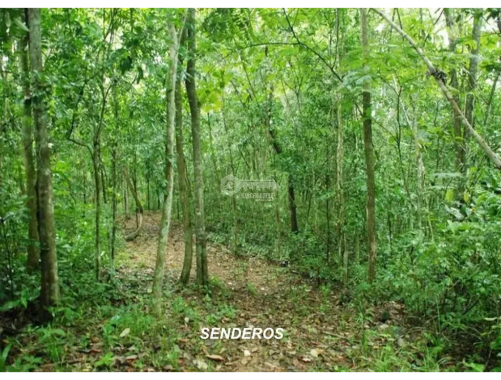 Building Lot for sale in Capira