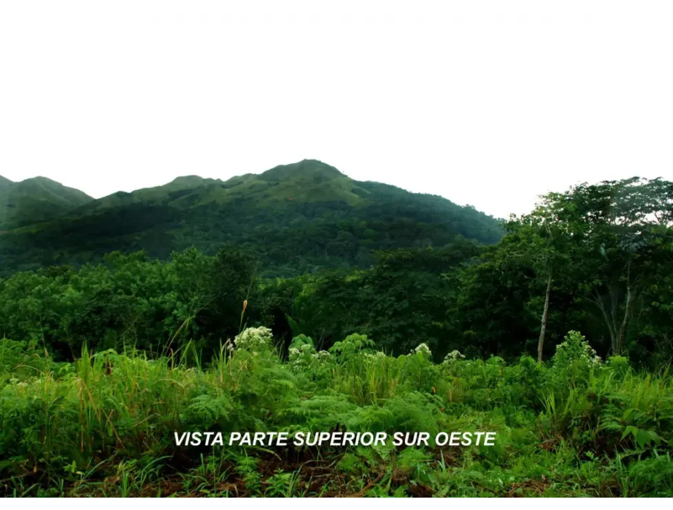 Building Lot for sale in Capira