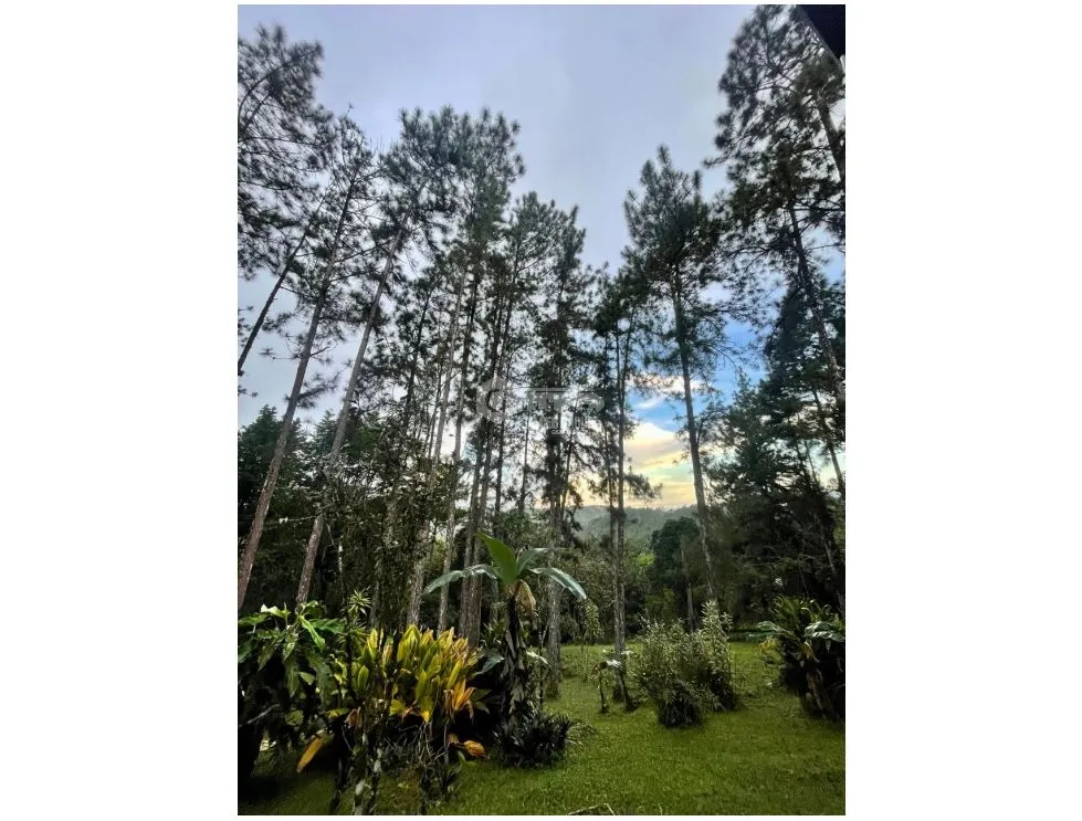 Single Family House for sale in Cerro Azul