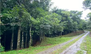 CERRO AZUL / TERRENO / 55 HECATREAS / BOSQUE / RIO / QUEBRADAS