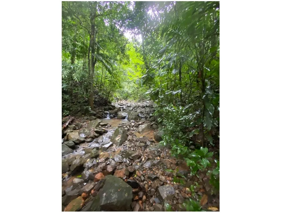 CERRO AZUL / TERRENO / 55 HECATREAS / BOSQUE / RIO / QUEBRADAS