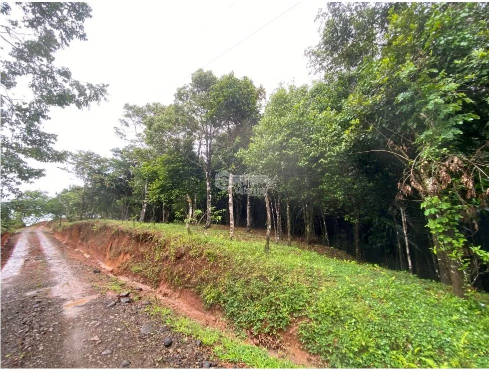 CERRO AZUL / TERRENO / 55 HECATREAS / BOSQUE / RIO / QUEBRADAS