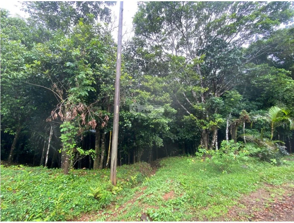 CERRO AZUL / TERRENO / 55 HECATREAS / BOSQUE / RIO / QUEBRADAS