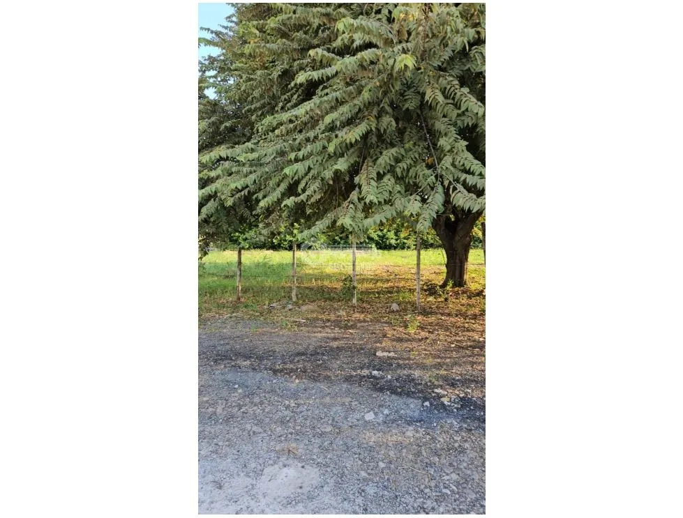 CORONADO / LAND / 1412M / FLAT / CORNER / WATER WELL