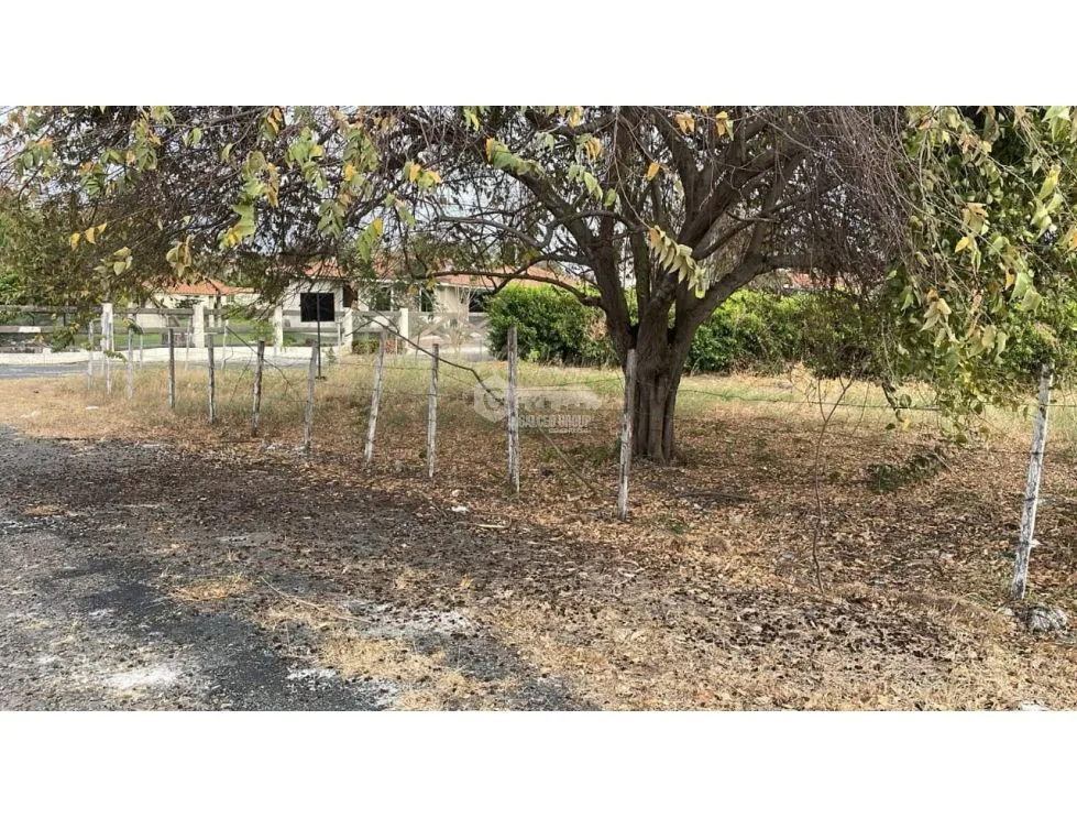 CORONADO / LAND / 1412M / FLAT / CORNER / WATER WELL