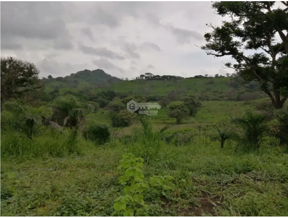 CAPIRA / CERMEÑO / FINCA / 88 HECTAREAS / 5 LAGOS